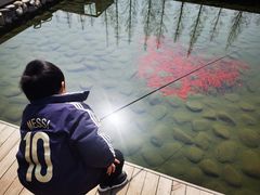 -前小桔亲子创意农场·草莓采摘·露营烧烤