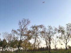 -春花秋色城市公园