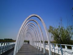 -大兴滨河森林公园