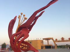 -金塔沙漠胡杨林景区