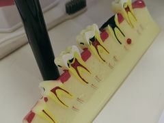-深圳富茂格伦菲尔口腔门诊部(龙华清湖总院)