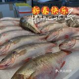 商超探店|听说他家蚝🦪不错～备个年货？