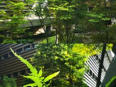 -四川宋瓷博物馆