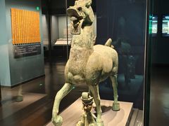 -广西壮族自治区博物馆