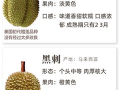 -曼阁市场水果批发市场