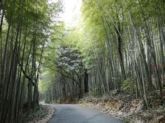 -苏州环秀晓筑养生度假村