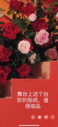 -DC大蔡婚礼策划(李公堤店)