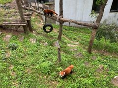 -大连森林动物园