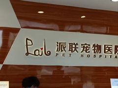 -派联宠物医院·24h·CT·异宠