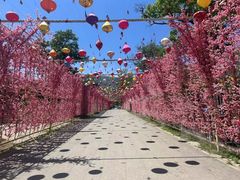 -北京凤凰岭