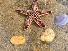 -那香海钻石沙滩浴场