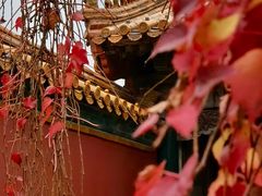 -故宫博物院(故宫)