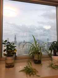 -瓷肌博士·祛痘科技美肤