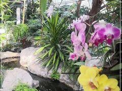 -北京植物园-展览温室