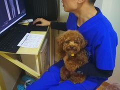 -芭比堂宠物医院·全科爱猫医院·仁德分院