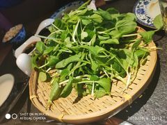 -大匠工房古船木艺术餐厅·猪肚鸡专门店(长白仙岛店)