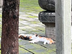 -四门塔风景区