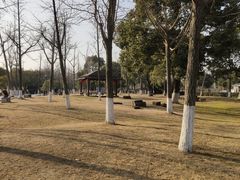 -苏州太湖湖滨国家湿地公园