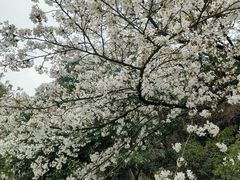 -杭州少年儿童公园