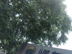 -懂车连锁奔驰宝马奥迪专修(德胜门店)