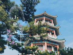 景点-青岛海滨风景区小鱼山