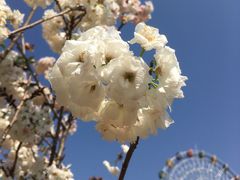 -观澜湖生态运动公社
