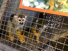 -成都浩海立方海洋公园