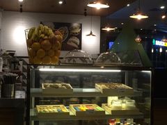 -油梨树 AVOCADO TREE(亮马桥店)