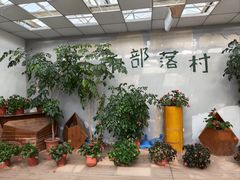 -上海都市菜园