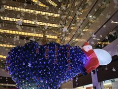 -夏阳湖皇冠假日酒店-中餐厅