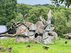-宁波野生动物园