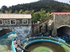 -南京银杏湖乐园