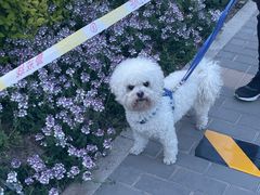 -美联众合动物医院·24h京西诊疗中心