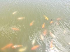 -永泰中国云顶