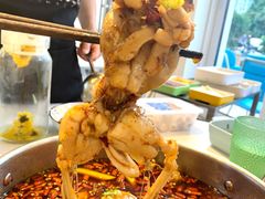 -蛙两只美蛙鱼头火锅(恒茂店)