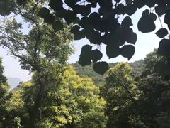 -北京鹫峰国家森林公园