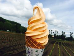 -富田农场