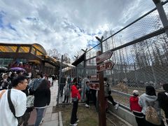 -横道河子东北虎林园