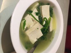 豆尖豆腐汤-朱家小厨(红塔西路店)