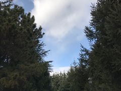 -哈利波特魔法世界