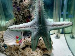 -太平洋海底世界