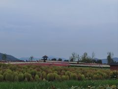 -径山花海