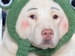 -老号尤兔头(幸福店)