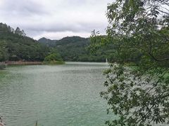 -广州白江湖森林公园