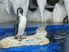 -太平洋海底世界