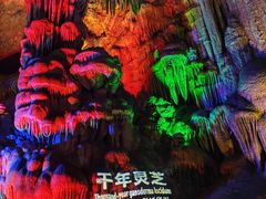 -金狮洞国家地质公园