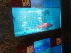-潮州府·潮菜·砂锅粥(徐家汇店)