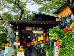 -宫城藏王狐狸村