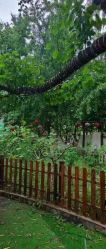 -宝馨月月子中心(友谊医院店)