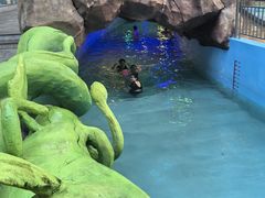 -望儿山温泉水乐园
